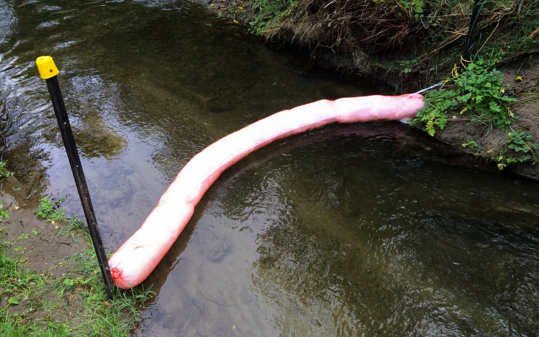 Wainui Stream,