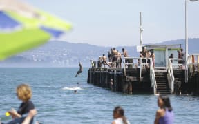 Summer in Eastbourne, Wellington.