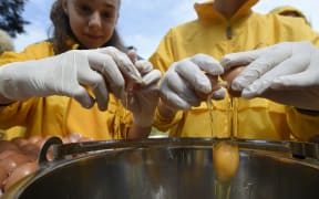 A Belgian town has honoured its 22-year-old tradition of making a giant omelette amidst an egg contamination scare, cooking 10,000 eggs in a pan 4m-wide.