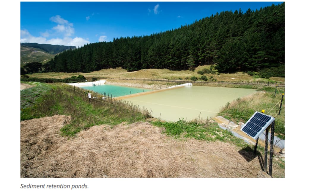 Transmission Gully green sedimentation pond.