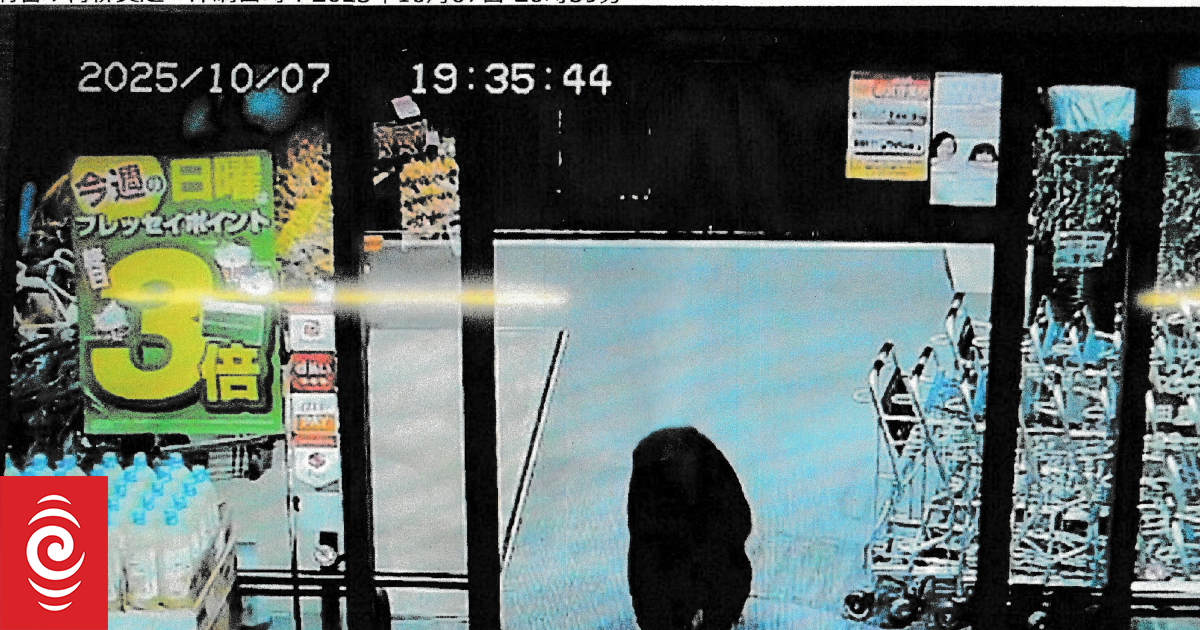 Fatal bear attacks in Japan hit record number