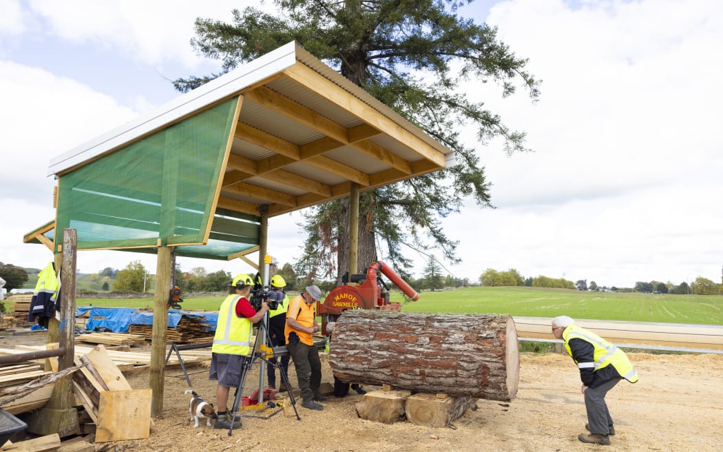 Creating a cubic metre of wood with Manulife foresters to show carbon sequestration