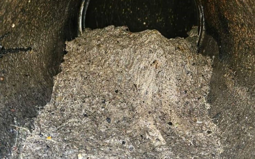 This rag monster was found in the Napier wastewater system