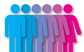 Gender spectrum