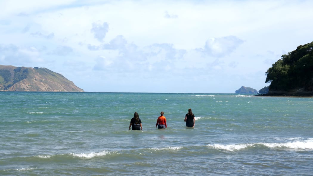 Sarah Sunde's earlier performance in Aotearoa