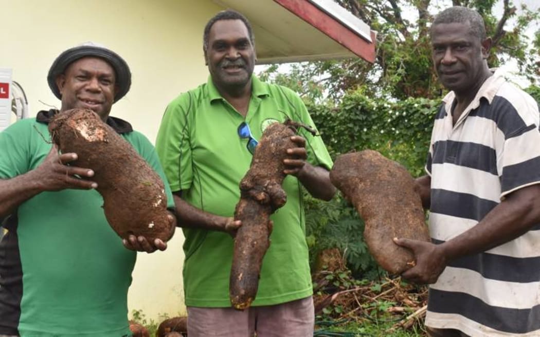 Tari Molisale (centre) and Santo DARD officers with wailu yams from the central islands.