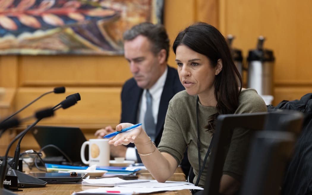 National Party MP Erica Standford asks questions in select committee.