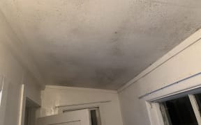 Mould covers the walls and ceilings of home on Wellington's Mt Victoria currently advertised to be rented out for $1200 per week.
