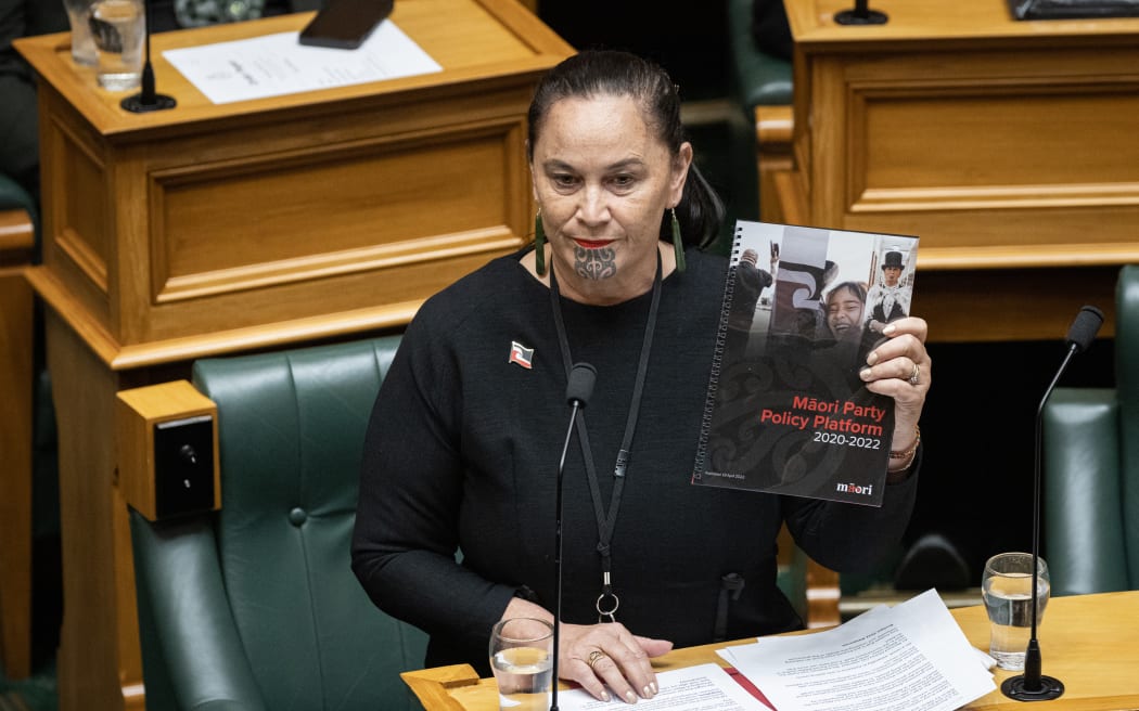 Debbie Ngarewa-Packer in Parliament's debating chamber