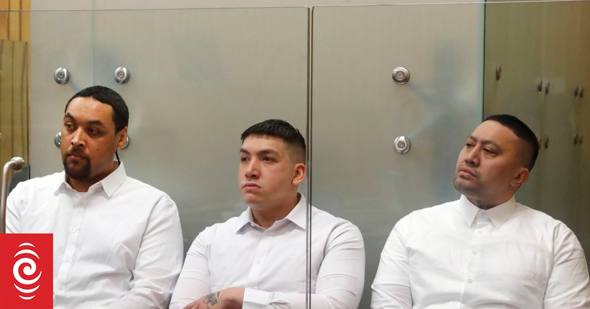 Three Killer Beez associates jailed for manslaughter of Nelson man Lake Takimoana - Vimarsana News