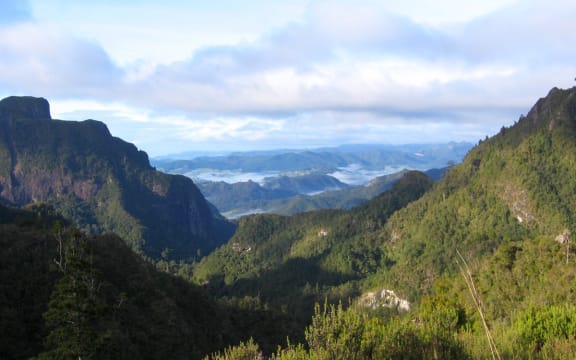 Kauaeranga Valley.