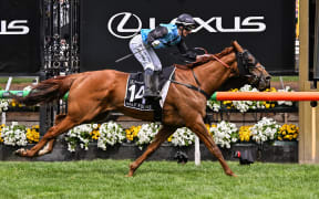 Half Yours ridden by Australian jockey Jamie Melham wins the Melbourne Cup horse race at the Flemington Racecourse in Melbourne on November 4, 2025. (Photo by WILLIAM WEST / AFP)
