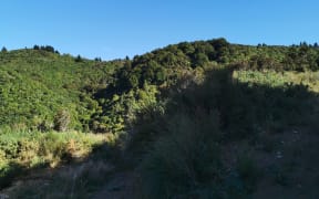 Ngāti Kahukuraawhitia wants to purchase 182 hectares by the Waiohine river in the Wairarapapa to build a papakāinga for their descendants to live on.