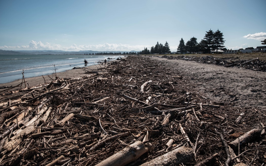 Slash at Gisbourne's Waikanae Beach