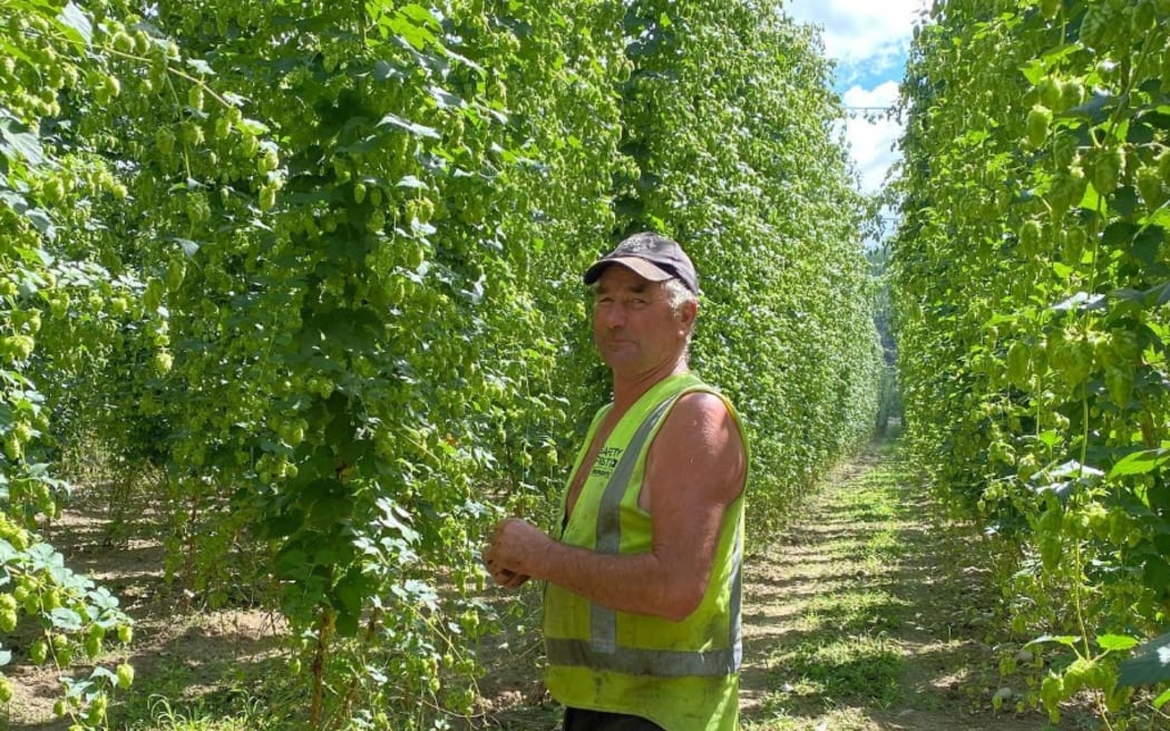 Peter Lines on his hop farm.