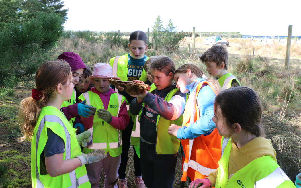 The Eyrewell skink habitat restoration school day