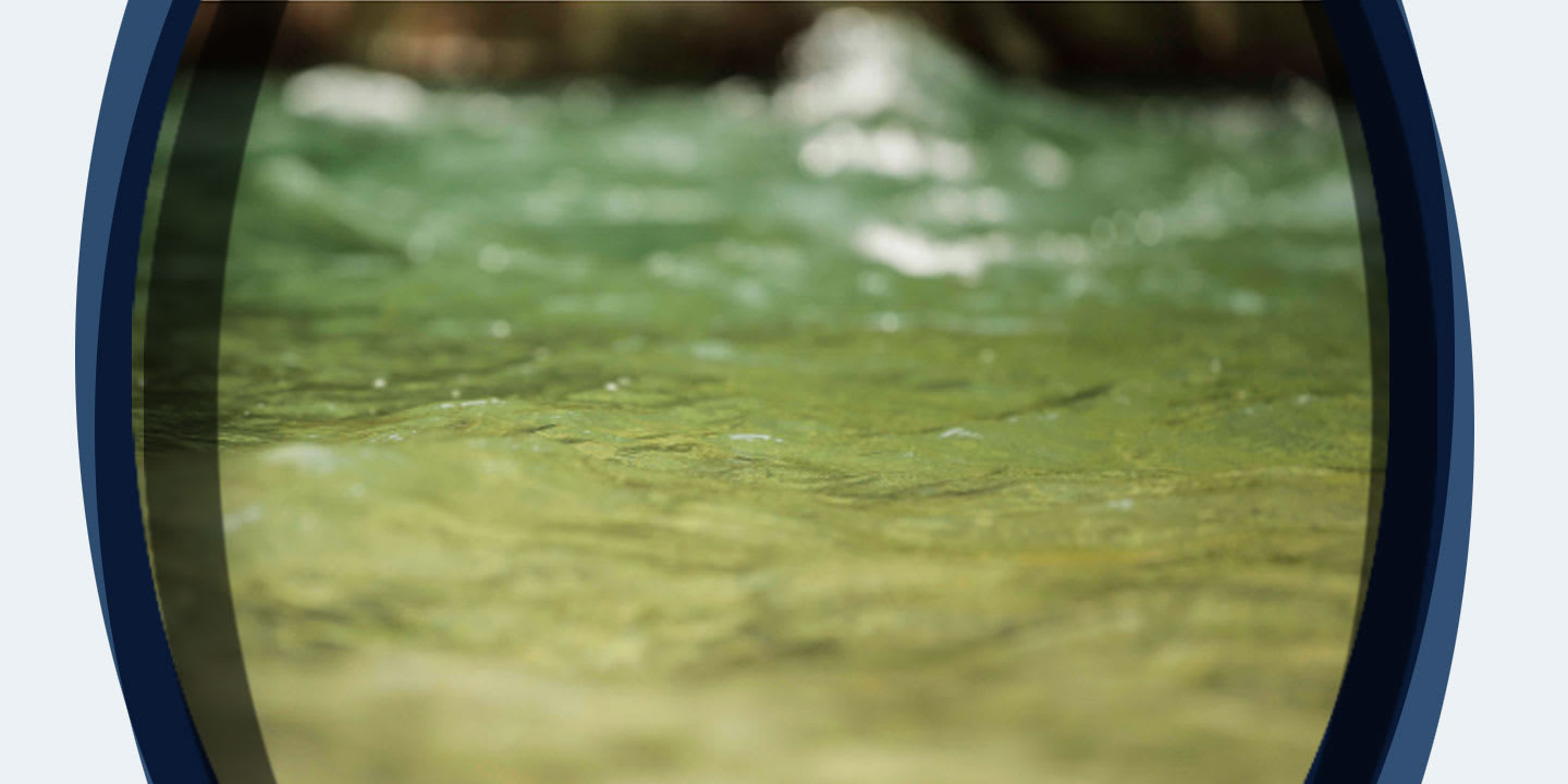 Graphic for Water Fools?