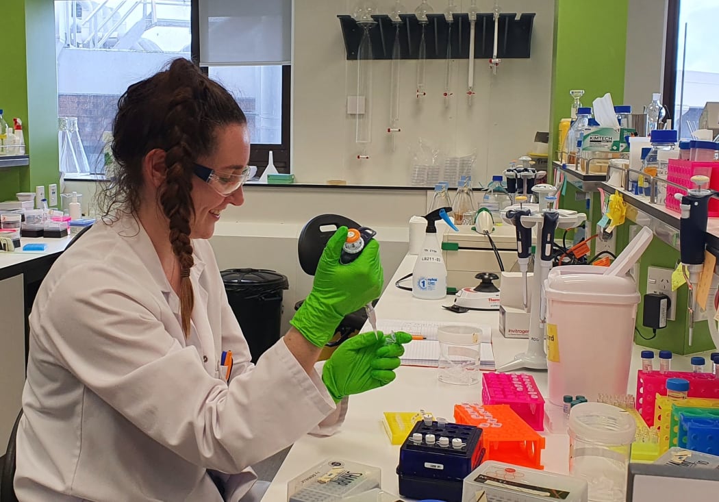Phd student Rose McLellan at work in the Synthetic and Chemical Biology Laboratory, Victoria University of Wellington.