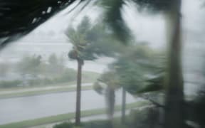 Palm trees blow in the wind as Hurricane Irma arrives into southwest Florida.