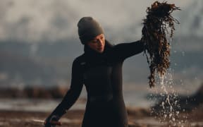 Tamara Singer of Lofoten Seaweed in Norway