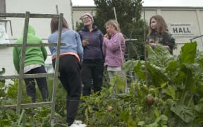 Behind the Whangaparāoa Library lies this community garden with flower beds and vege patches full of seedlings and leafy greens.