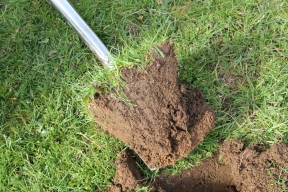topsoil