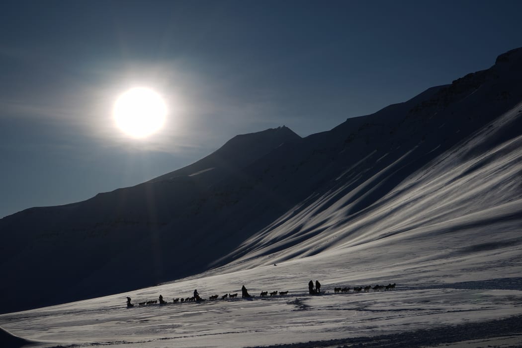Tourists ride dog sleds outside of Longyearbyen, Svalbard, ahead of the 20 March total solar eclipse.