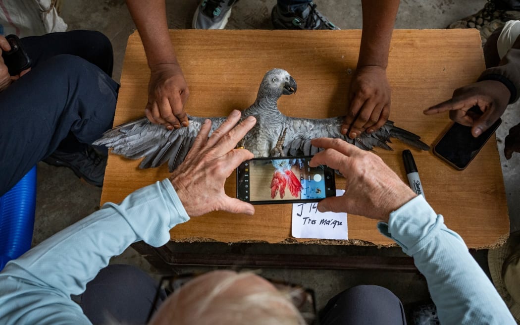 WILDLIFE INVESTIGATIVE REPORTERS & EDITORS, a nonprofit journalism organization exposing wildlife crime and exploitation of nature. Credit: KARINE AIGNER