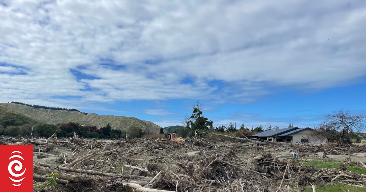 Cyclone Gabrielle exposed the risks of forestry slash. Little seems to have changed