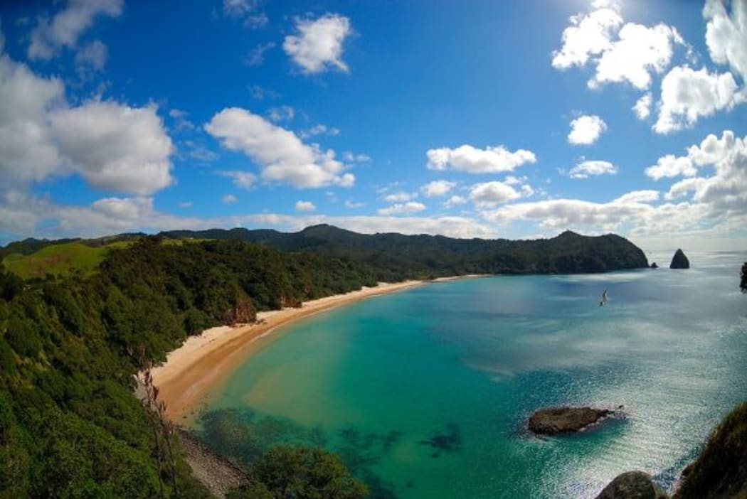 Whangapoua beach