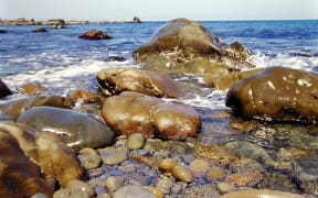 The habitat of eyelash seaweed