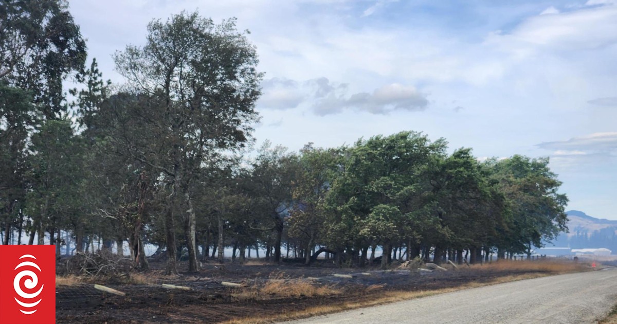 Officials warn of fire risk in Canterbury as firefighters remain at scene of two large blazes - Vimarsana News