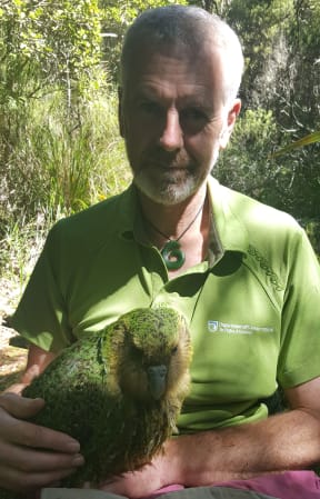 Daryl Eason, from DOC's Kākāpō Recovery Team, with a 10-year old male kākāpō called Moss.