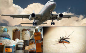 Plane turbulence, chemical waste, mosquito