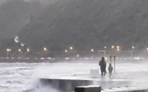 A father and child walk along the Petone foreshore today.