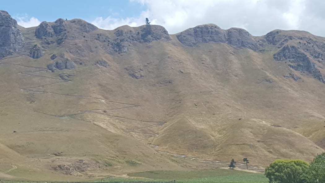 The Te Mata walking track.