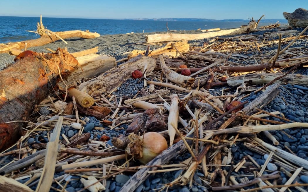 Produce - including apples, onions, pumpkin and pineapple - rotting at Napier Beach's shore on 20 February, 2023.