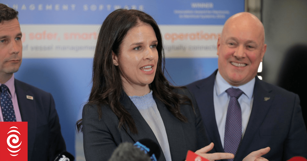 Applications flood in for new parent visa, amid residence review
