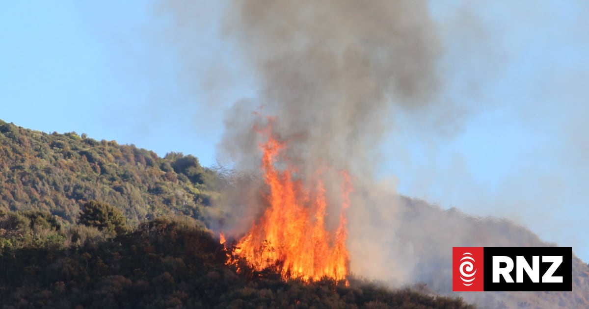 FENZ to visit Canterbury property owners, after burn-offs get out of control