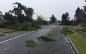 Trees downed by a tornado in National Park Village.