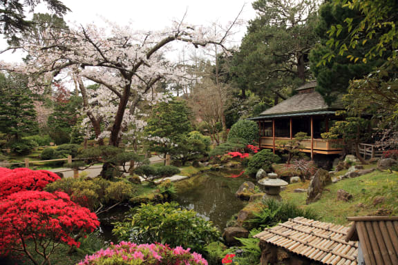 Japanese Garden