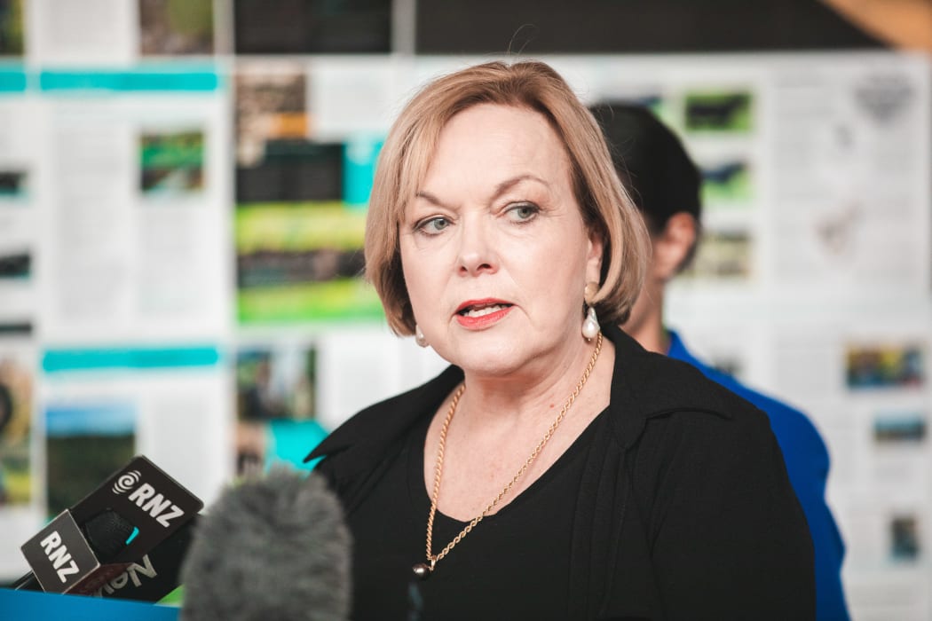 National Party leader Judith Collins campaigning in Gisborne on 24 September, 2020.