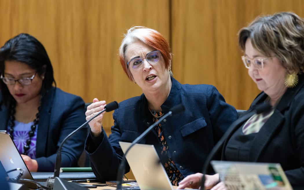 Labour MP Deborah Russell interacts with submitters in select committee.