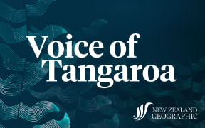 Stylised kelp graphic ontop of dark ocean coloured background, with 'Voice of Tangaroa' on top