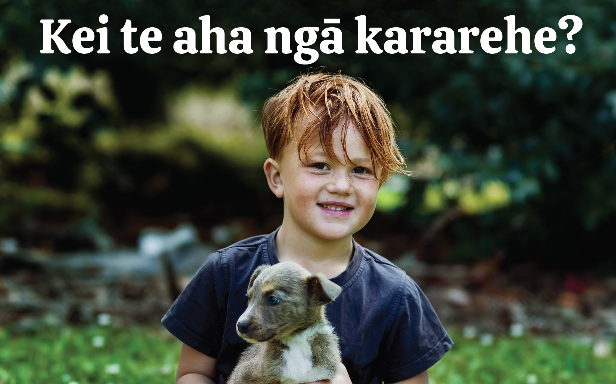 Te Ataakura Pewhairangi