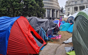Tents outside Parliament on day 13 of protests.