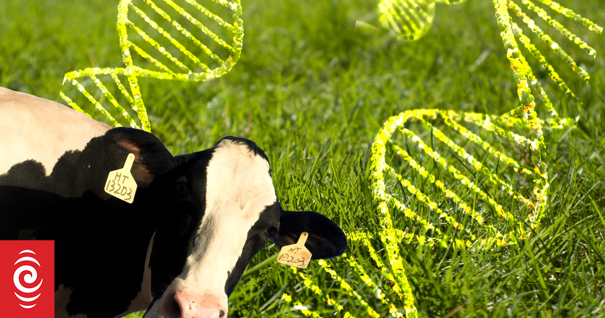Gene Technology Bill Stalled Again: PM's 'Complicated' Explanation Leaves Experts Concerned