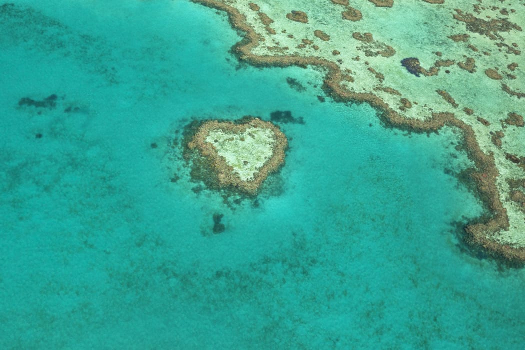 Heart Reef, a unique coral formation in the Great Barrier Reef