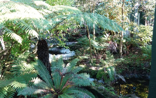 Mystery defecator leaves 'revolting' surprise in Masterton's Queen ...