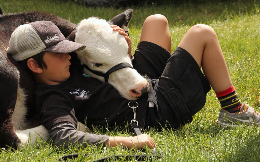 NZ's oldest agricultural show opens gates to thousands in Waimate North